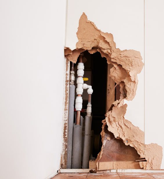 Emergency Plumbing in Dallas, TX What You Need to Know
