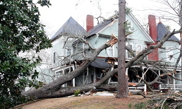 Fix Outdoor Areas Damaged by the Storm